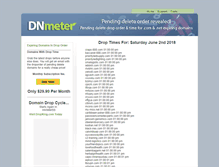Tablet Screenshot of dnmeter.com